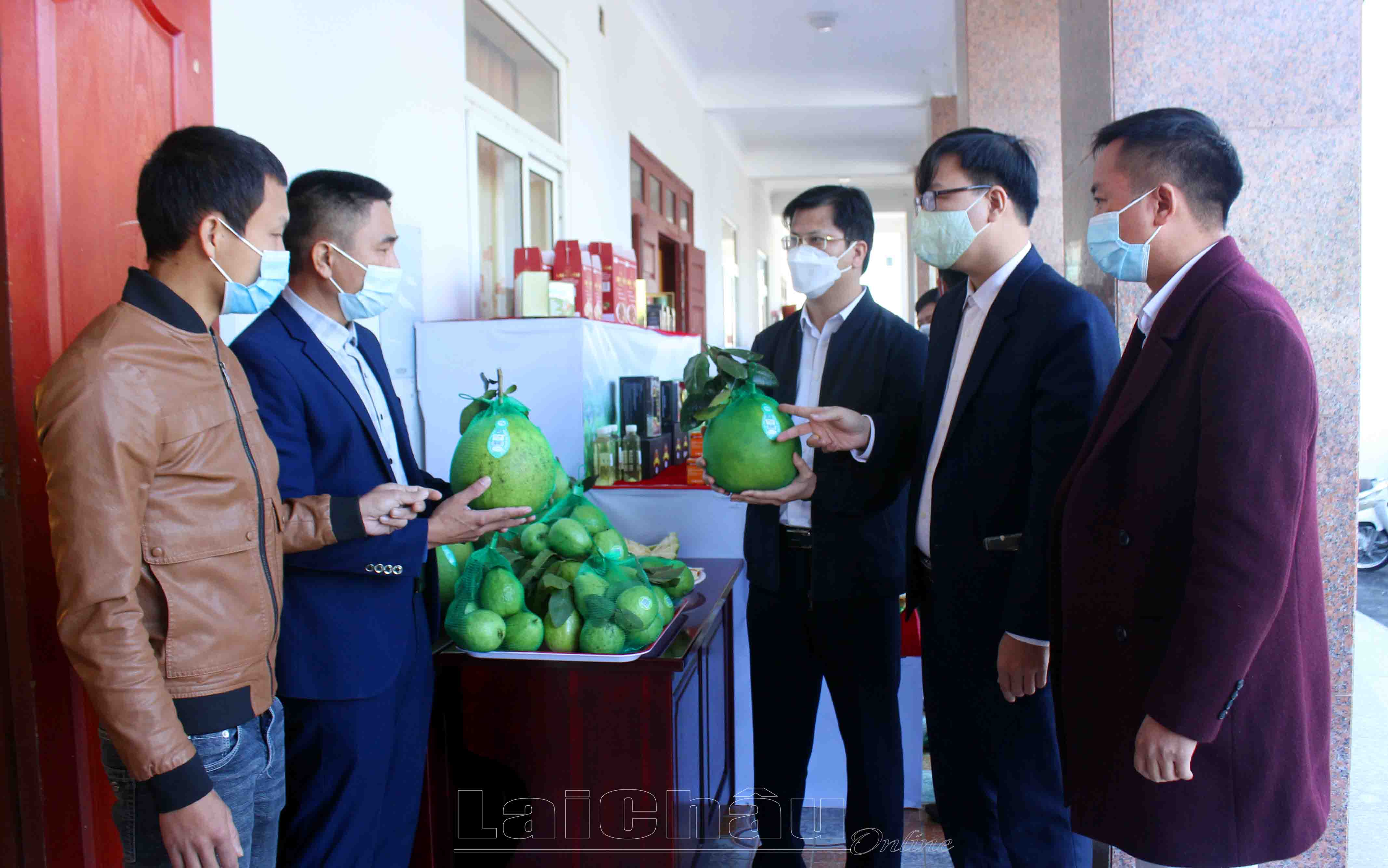 … Bưởi da xanh của HTX Phan Vinh, thị trấn Tân Uyên, huyện Tân Uyên được đánh giá đạt OCOP 3 sao.  